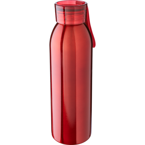 Stainless steel single-walled bottle (650ml) - View 1