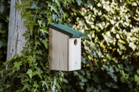 Bird house 261012_945 (Wood)
