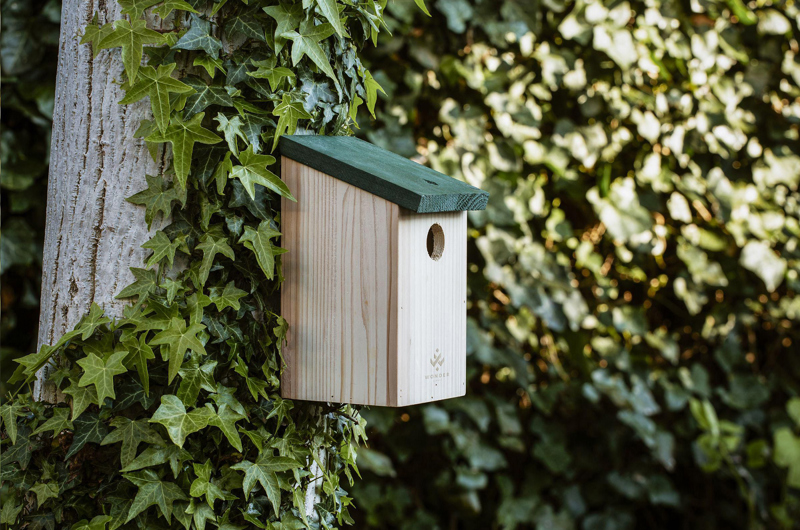 Bird house 261012_945 (Wood)
