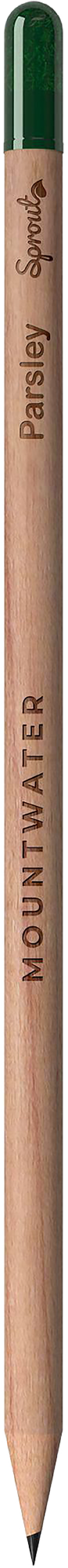 Picture of Sproutworld sharpened pencil