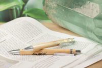 Bamboo pen 261538_032 (Silver)