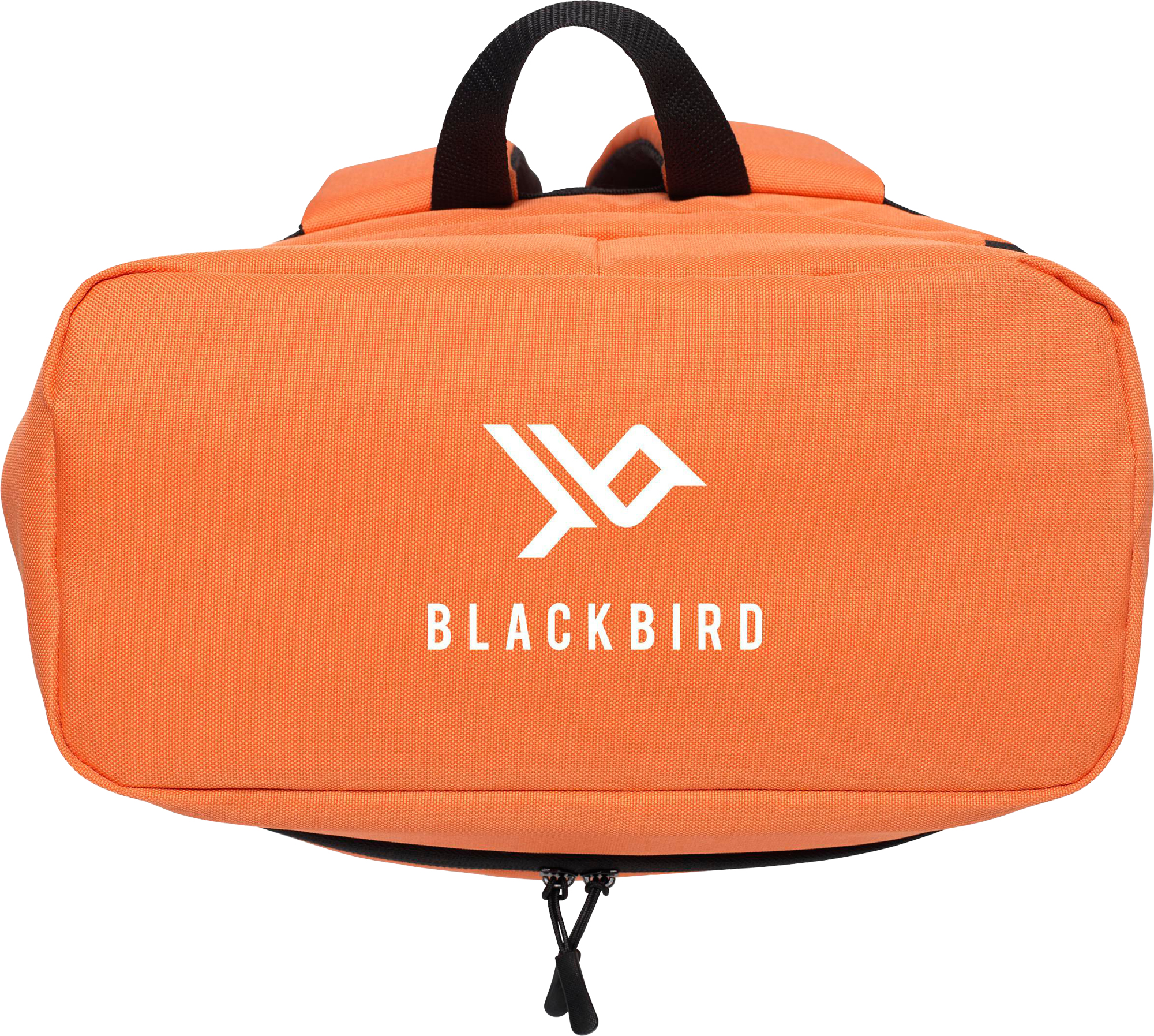 Picture of Recycled cooler backpack