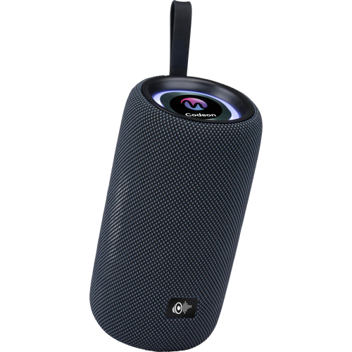 Wireless speaker