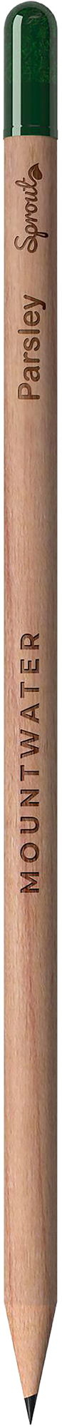 Picture of Sproutworld sharpened pencil