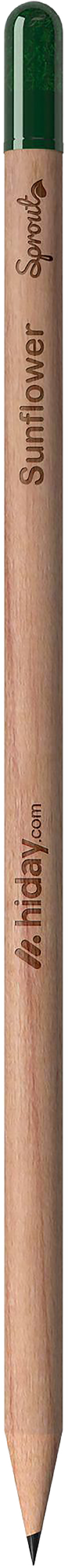 Picture of Sproutworld sharpened pencil