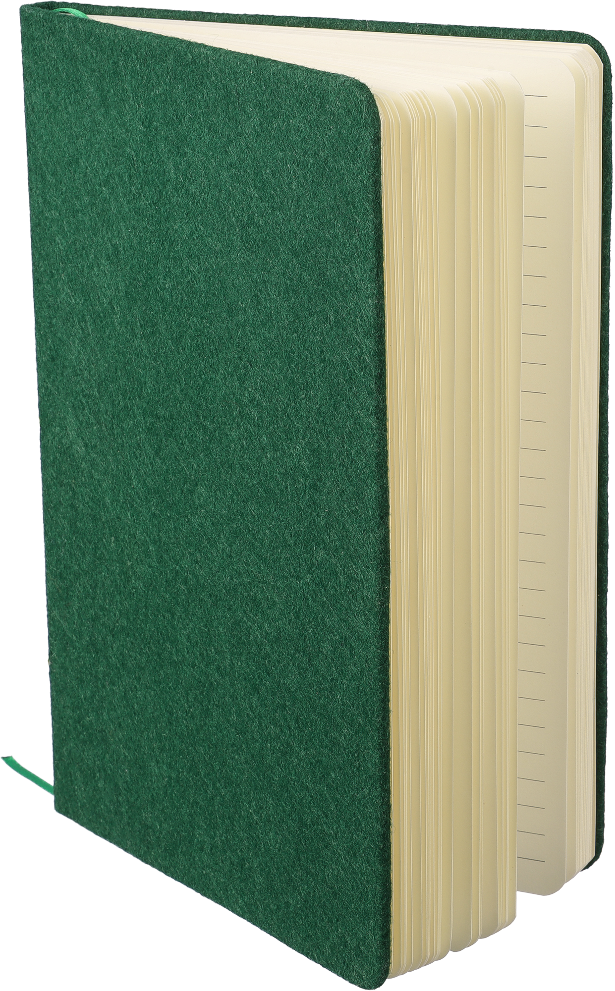 Picture of Recycled felt notebook (approx. A5)