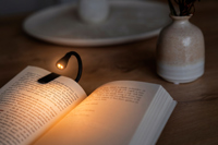 Reading light 1507268_lif