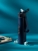 Recycled stainless steel double walled bottle (750ml)  263200_005 (Blue)