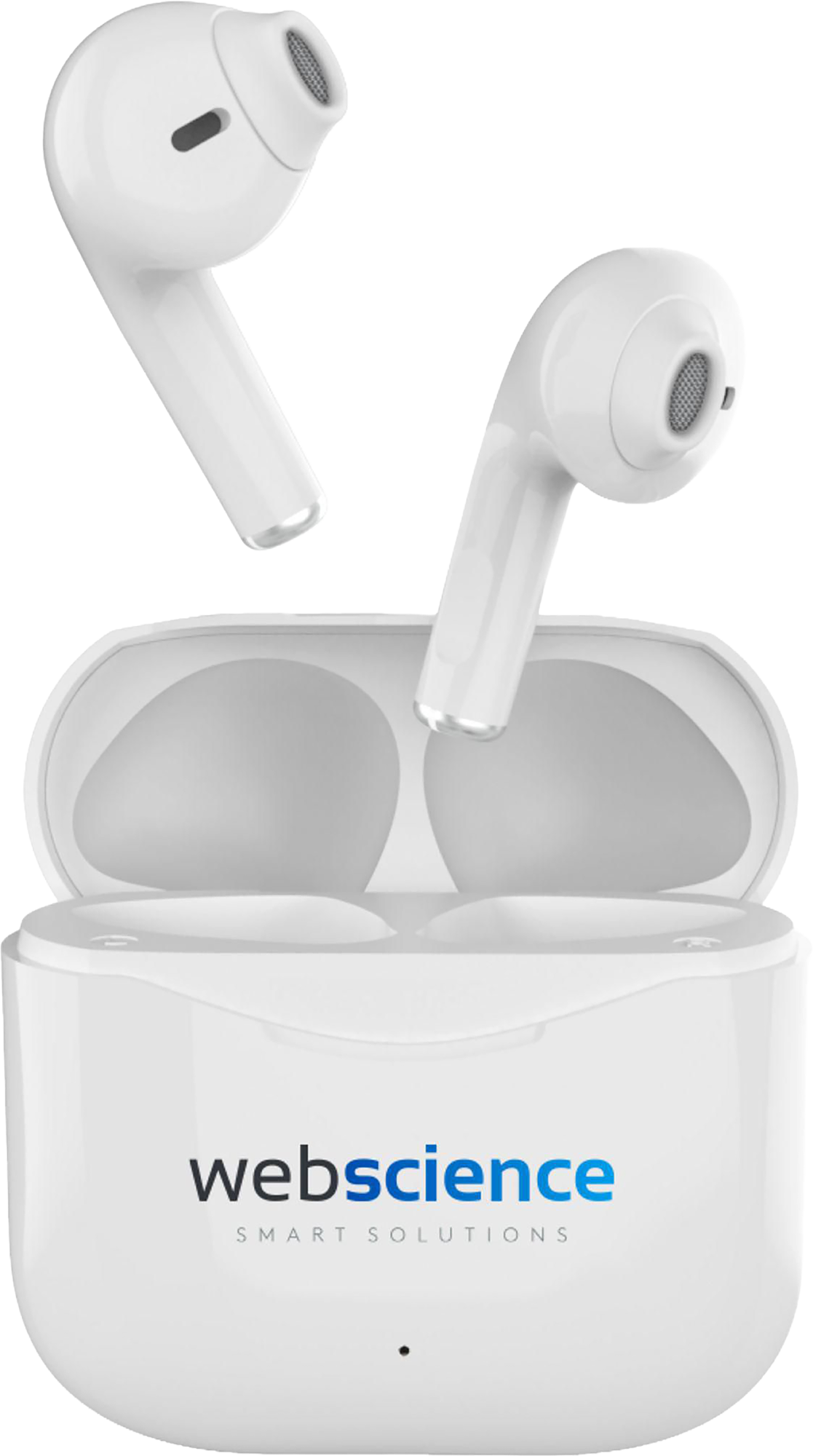 Picture of Wireless earbuds