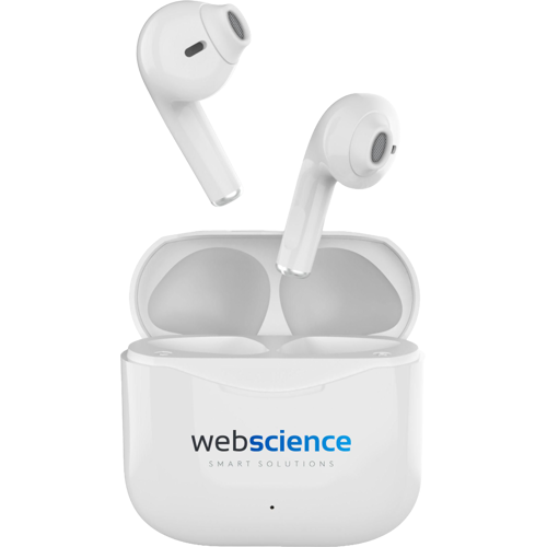 Wireless earbuds