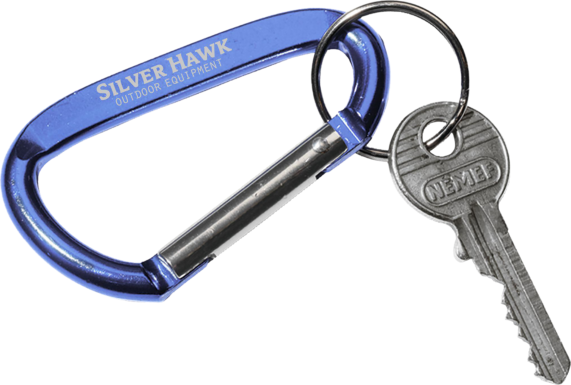 Picture of Carabiner keyring
