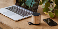 Bamboo wireless speaker 266318_823 (Bamboo)