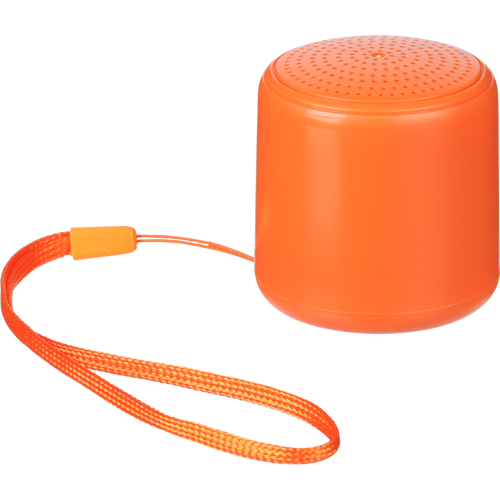 Recycled wireless speaker