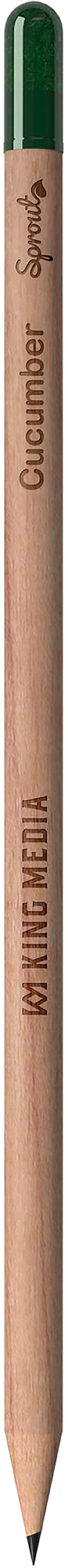 Picture of Sproutworld sharpened pencil