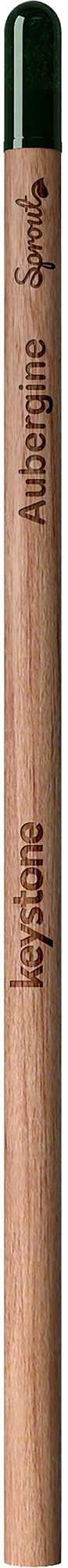 Picture of Sproutworld unsharpened pencil