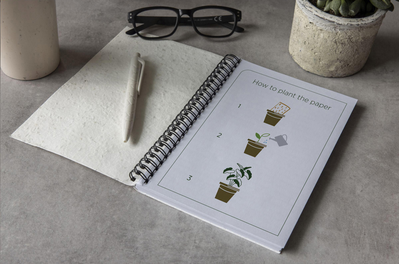 Seed paper notebook (approx. A5) 269100_002 (White)