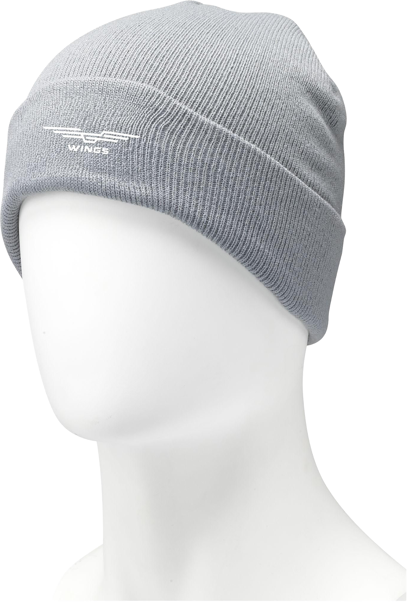 Picture of RPET Beanie