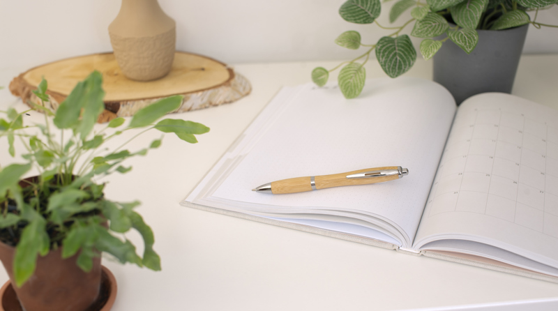 Bamboo ballpen 8524_lif