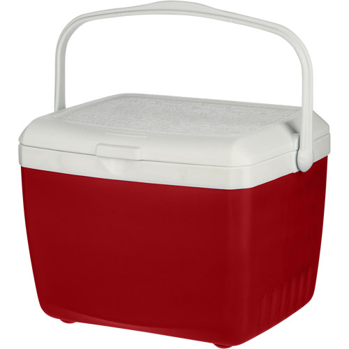 Cooler box (13 litre)