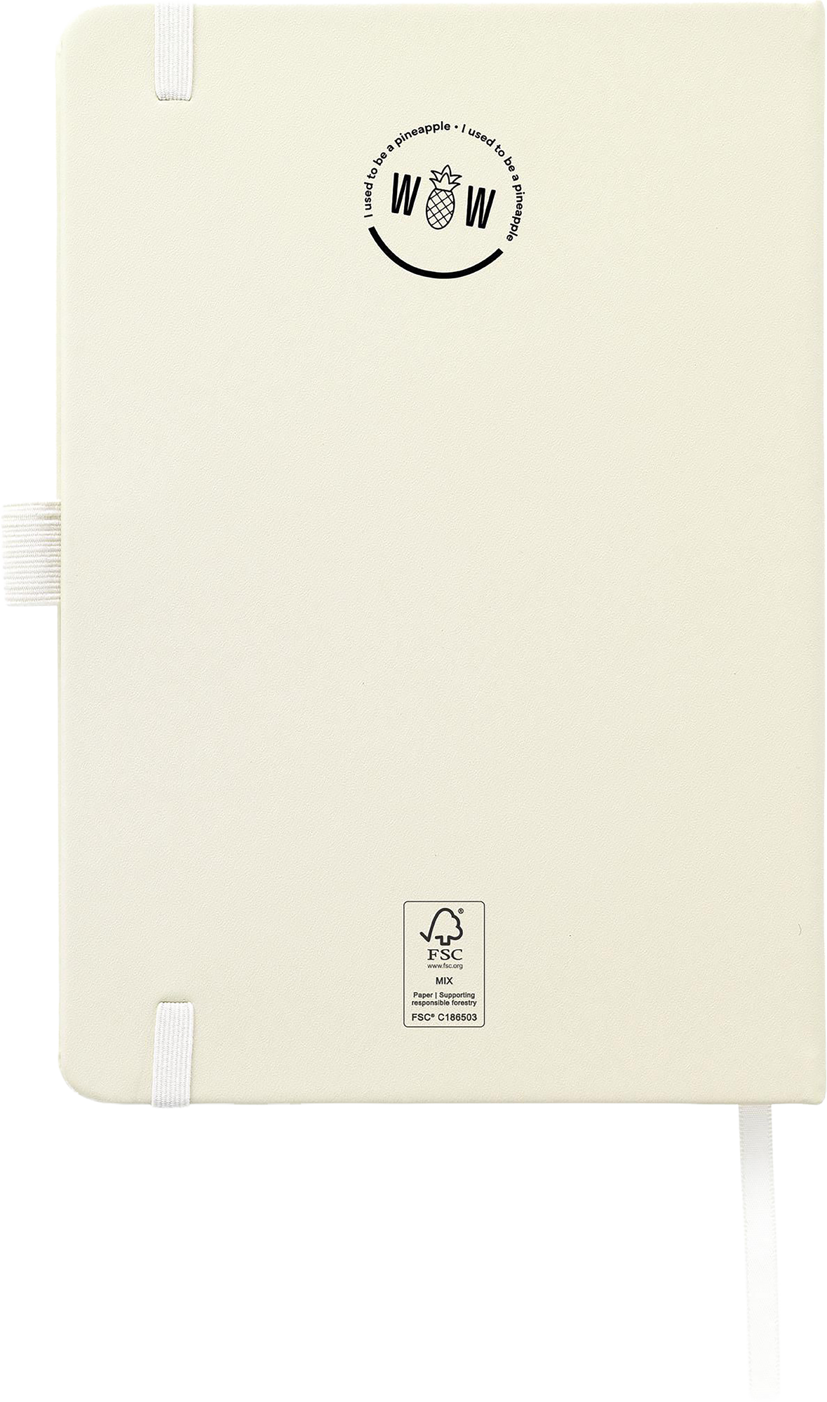 Picture of Pineapple paper notebook (approx. A5)