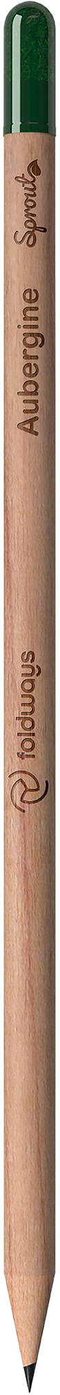 Picture of Sproutworld sharpened pencil