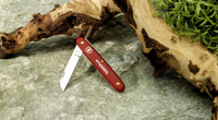 Victorinox Ecoline Flower Knive 262625_008 (Red)