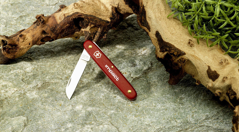 Victorinox Ecoline Flower Knive 262625_008 (Red)
