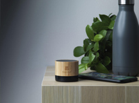 Bamboo speaker 265859_823 (Bamboo)