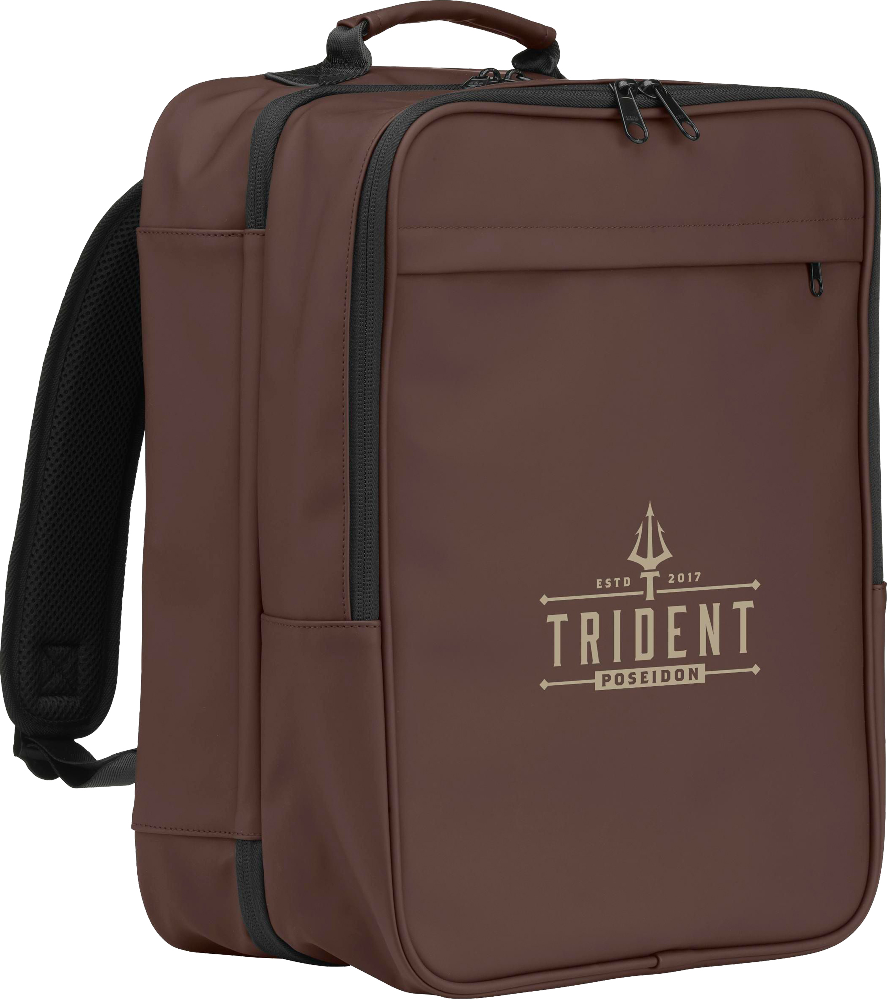 Picture of Cabin flight backpack