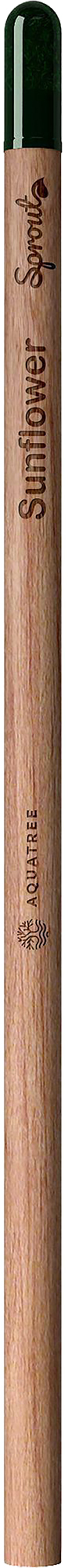 Picture of Sproutworld unsharpened pencil