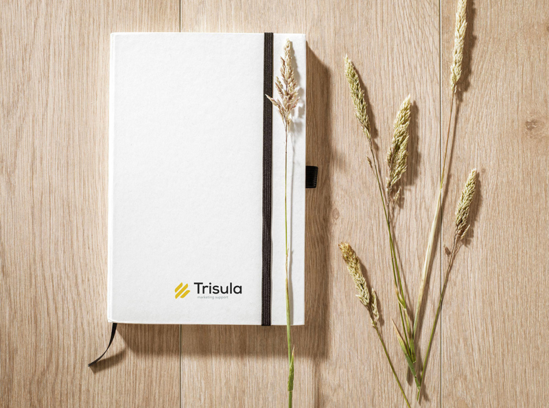 Milk carton notebook (approx A5) 261535_357 (Beige)
