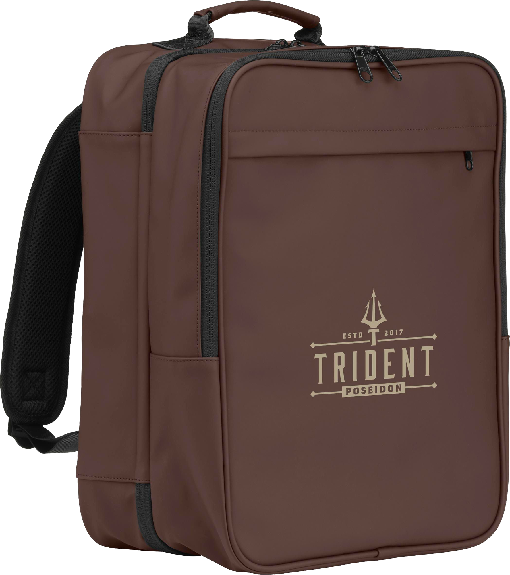 Picture of Cabin flight backpack
