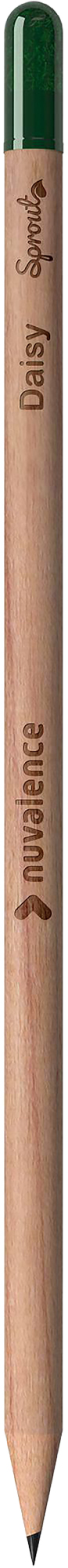 Picture of Sproutworld sharpened pencil