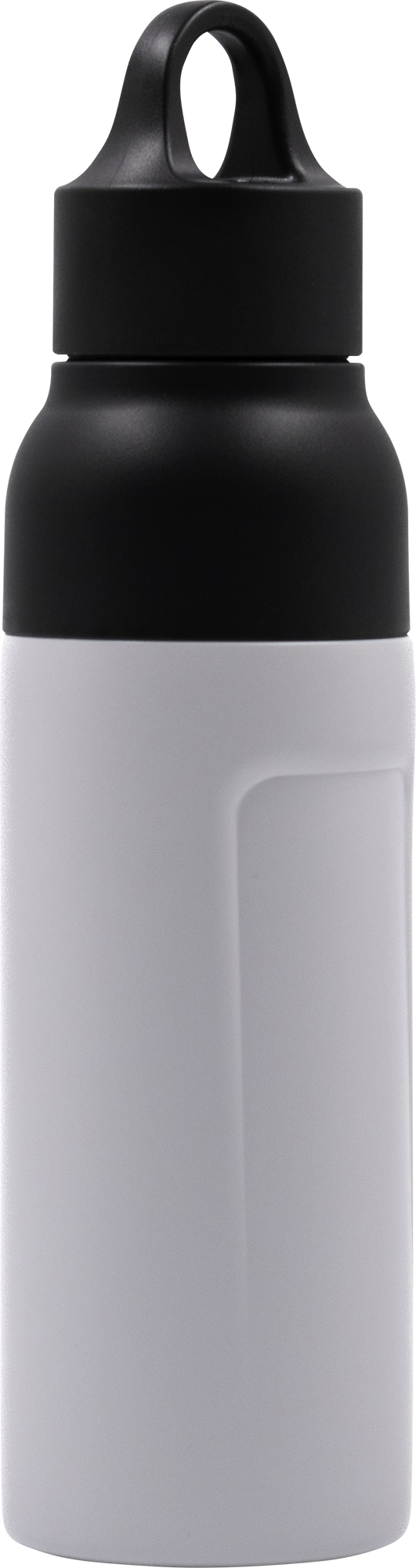 Picture of BrandCharger bottle (520ml)