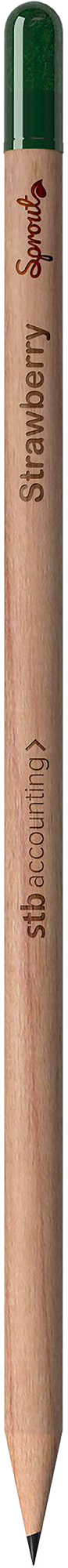 Picture of Sproutworld sharpened pencil
