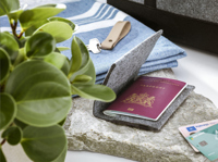 RPET Felt passport holder 261541_003 (Grey)