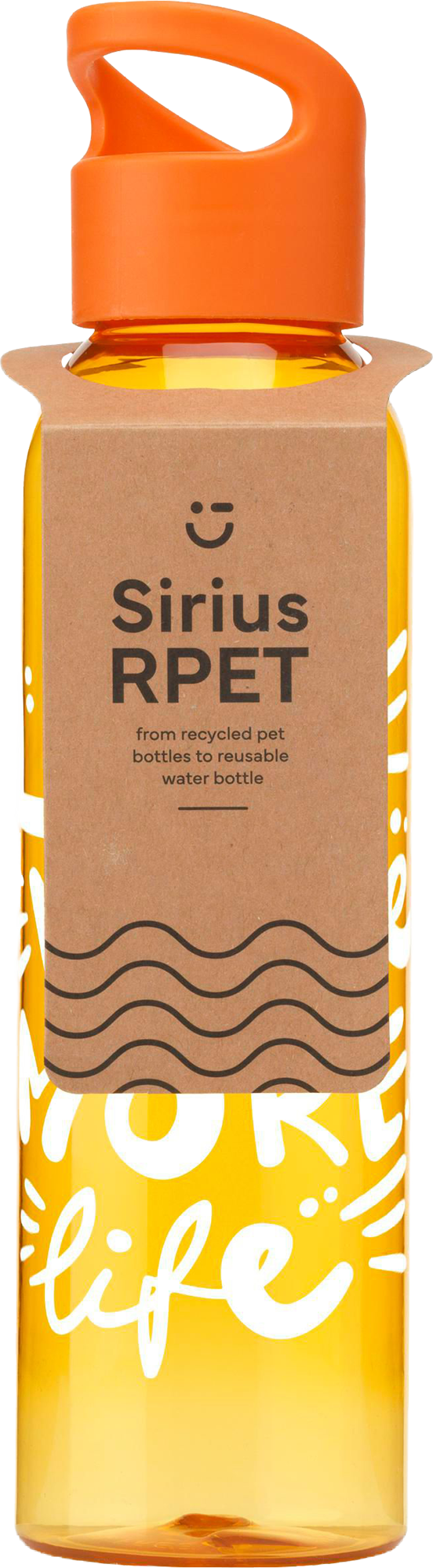 Picture of RPET drinking bottle (650 ml)