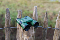 Binoculars 1454843_lif