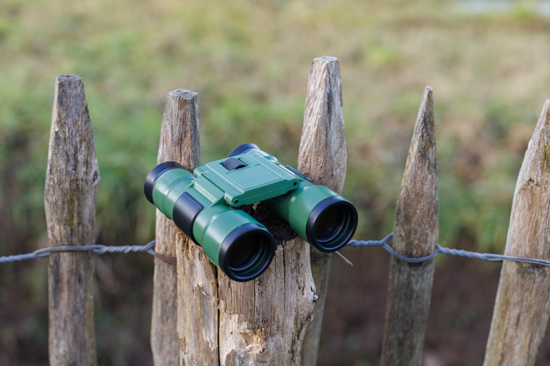 Binoculars 1454843_lif