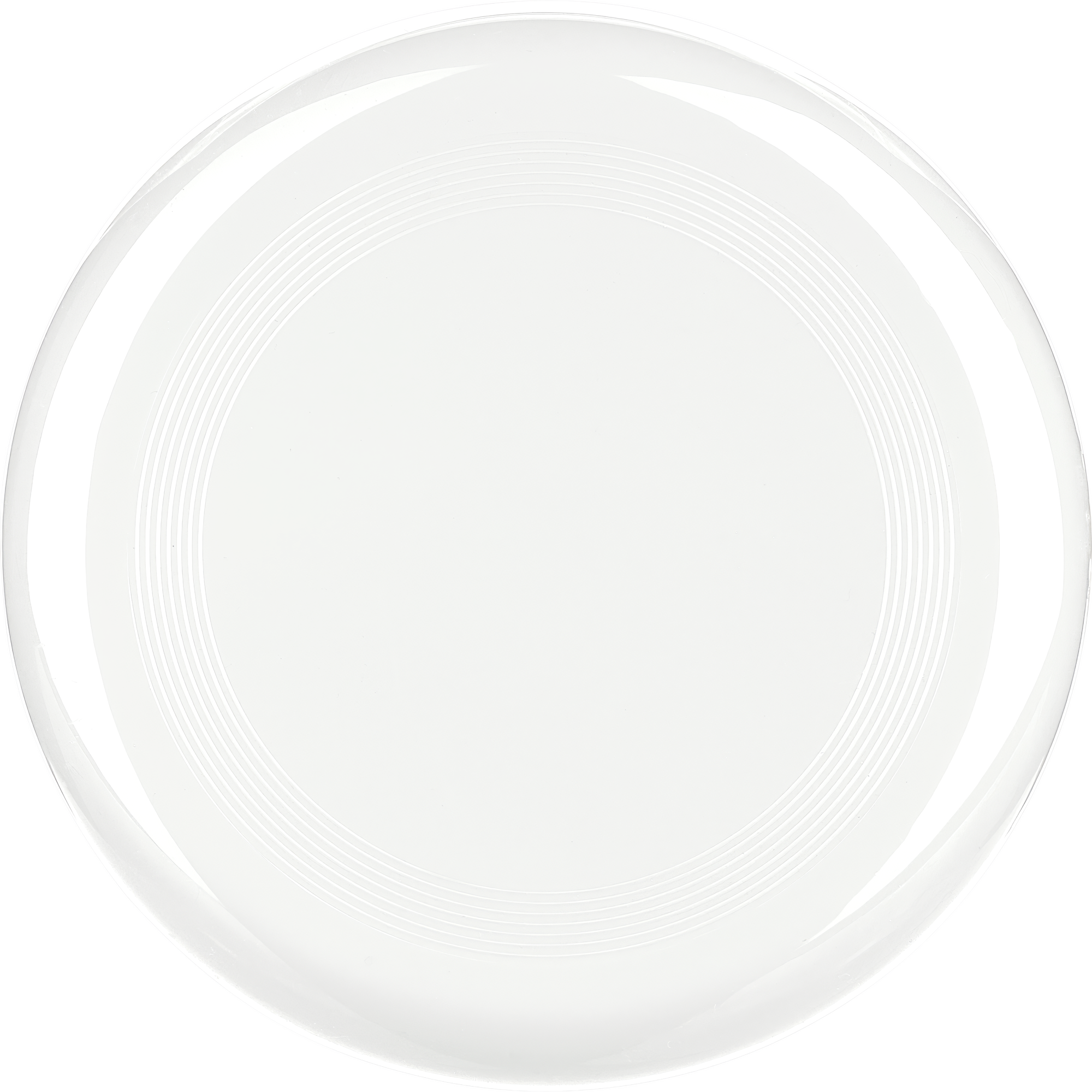 Picture of Recycled frisbee