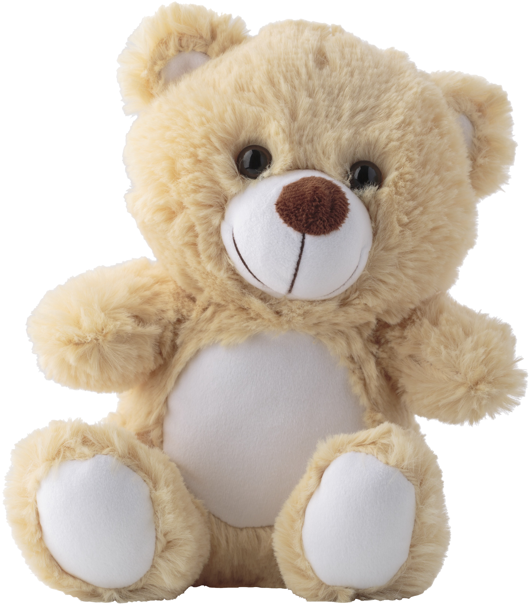 Picture of RPET Bear