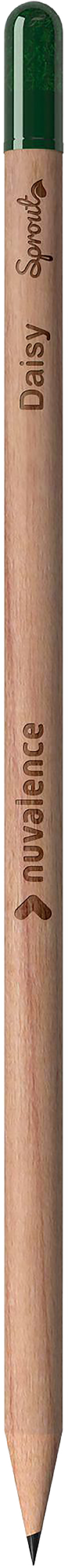 Picture of Sproutworld sharpened pencil