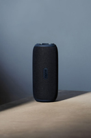 Sudio wireless speaker  263272_307 (Dark blue)