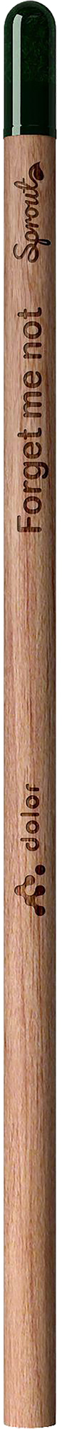 Picture of Sproutworld unsharpened pencil
