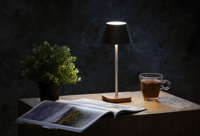 Wooosh Luzia table light 261633_092 (Brown/black)