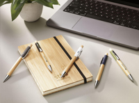 Bamboo ballpen 261473_002 (White)