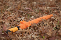 Automatic umbrella 264833_007 (Orange)