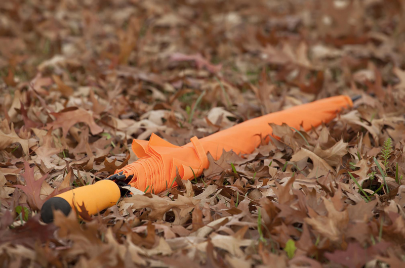 Automatic umbrella 264833_007 (Orange)