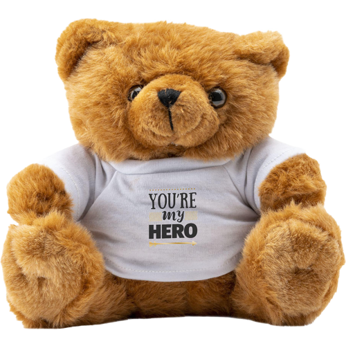 Big Browny bear soft toy