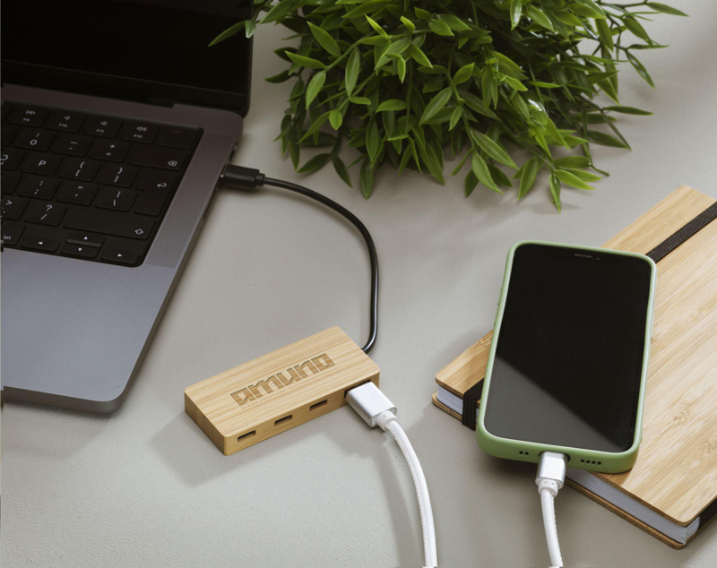 Bamboo USB hub 261448_945 (Wood)